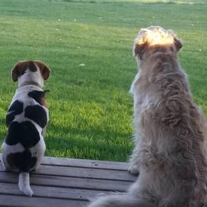 Meet your Posher, Mary